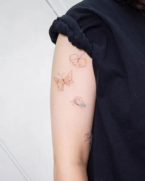 Animal, Nature, 나비