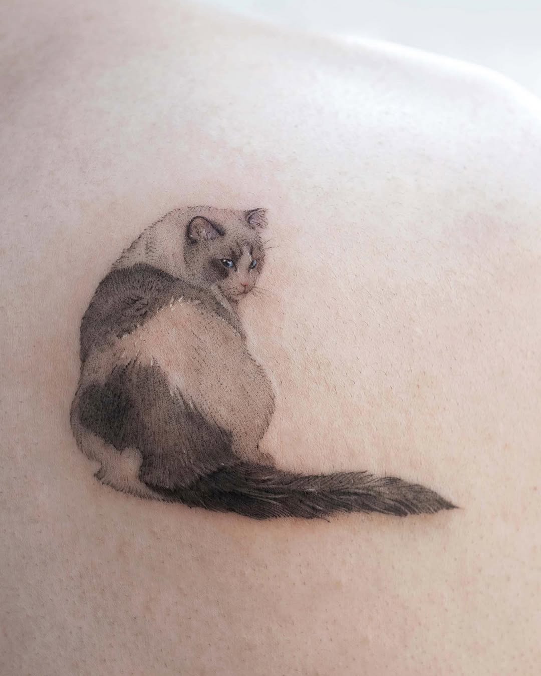 soltattoo