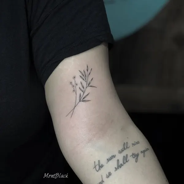 Lettering, 올리브 가지