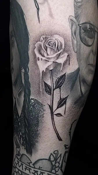 Flower, Rose