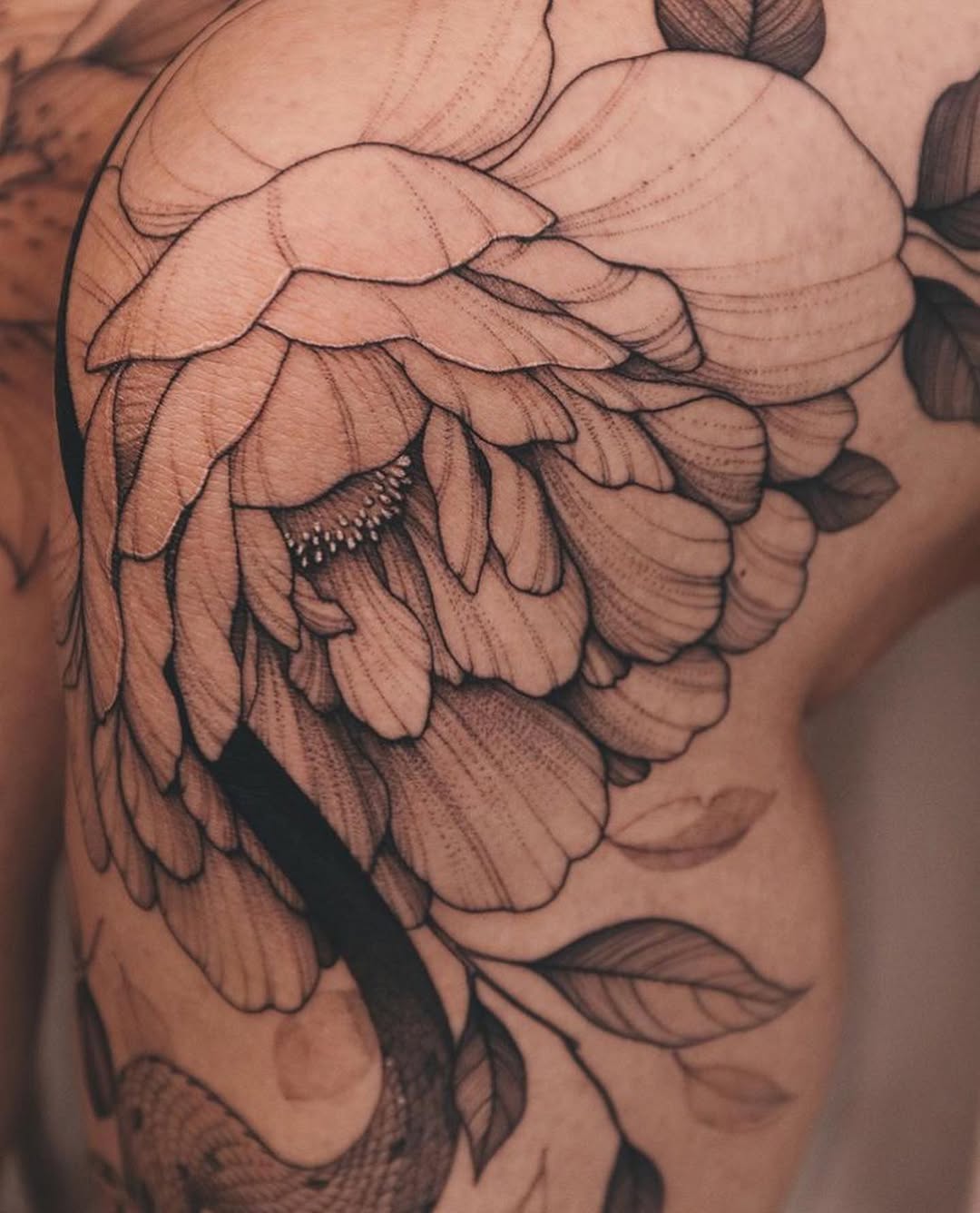 Flower, Rose