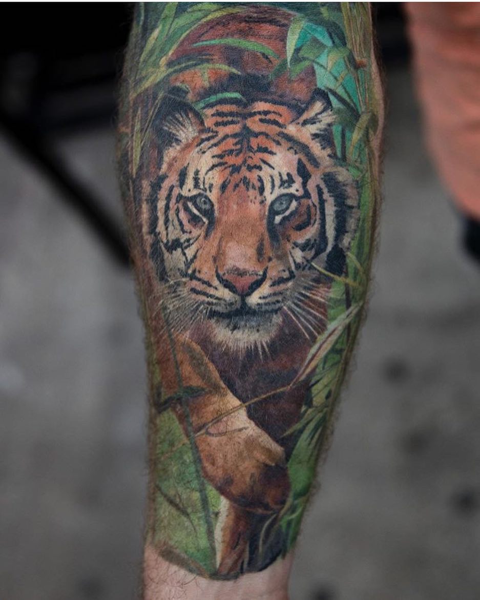 Tiger