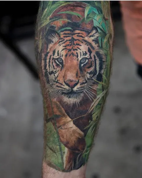 Tiger