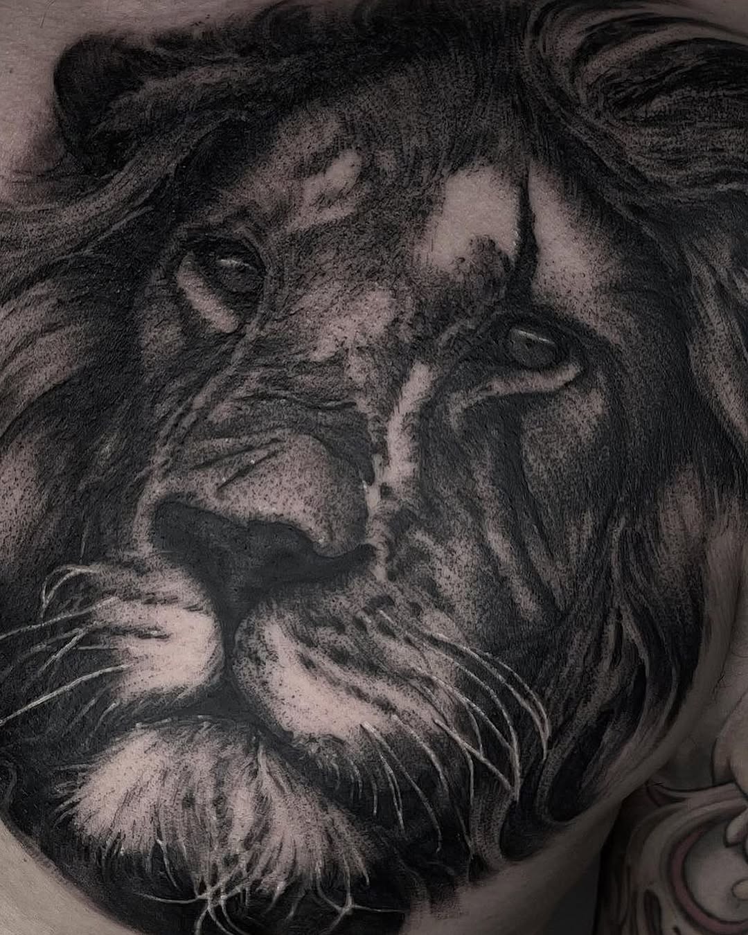 Animal