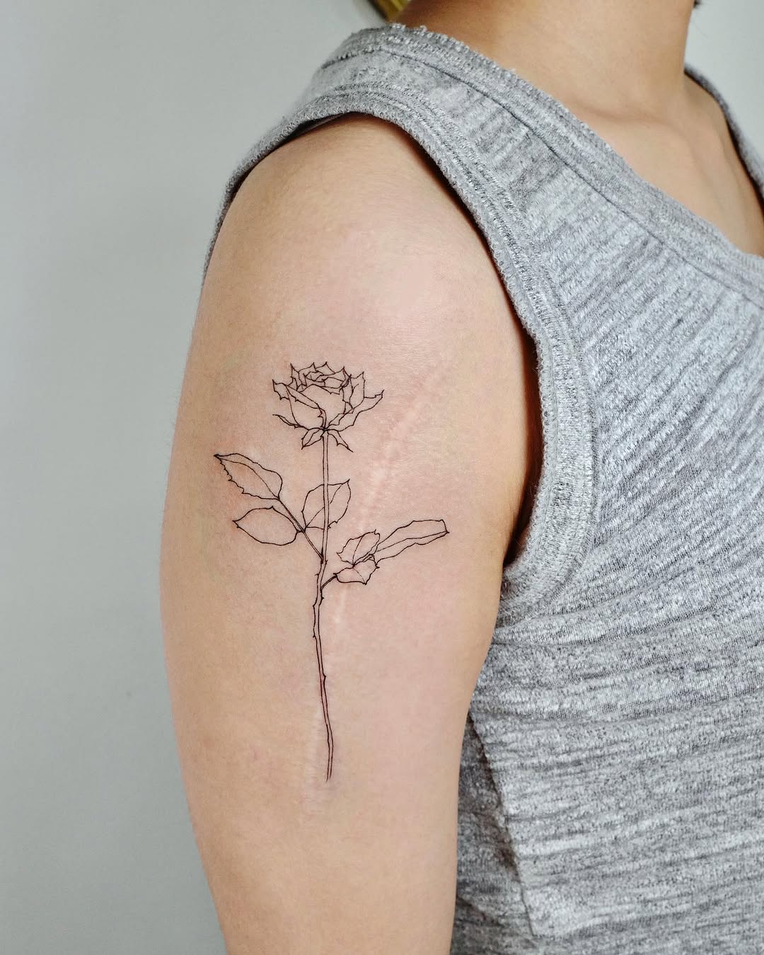 Flower, Rose