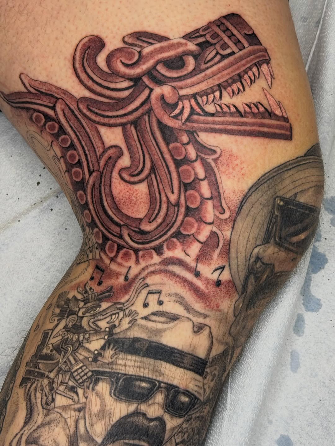 Dragon, Animal