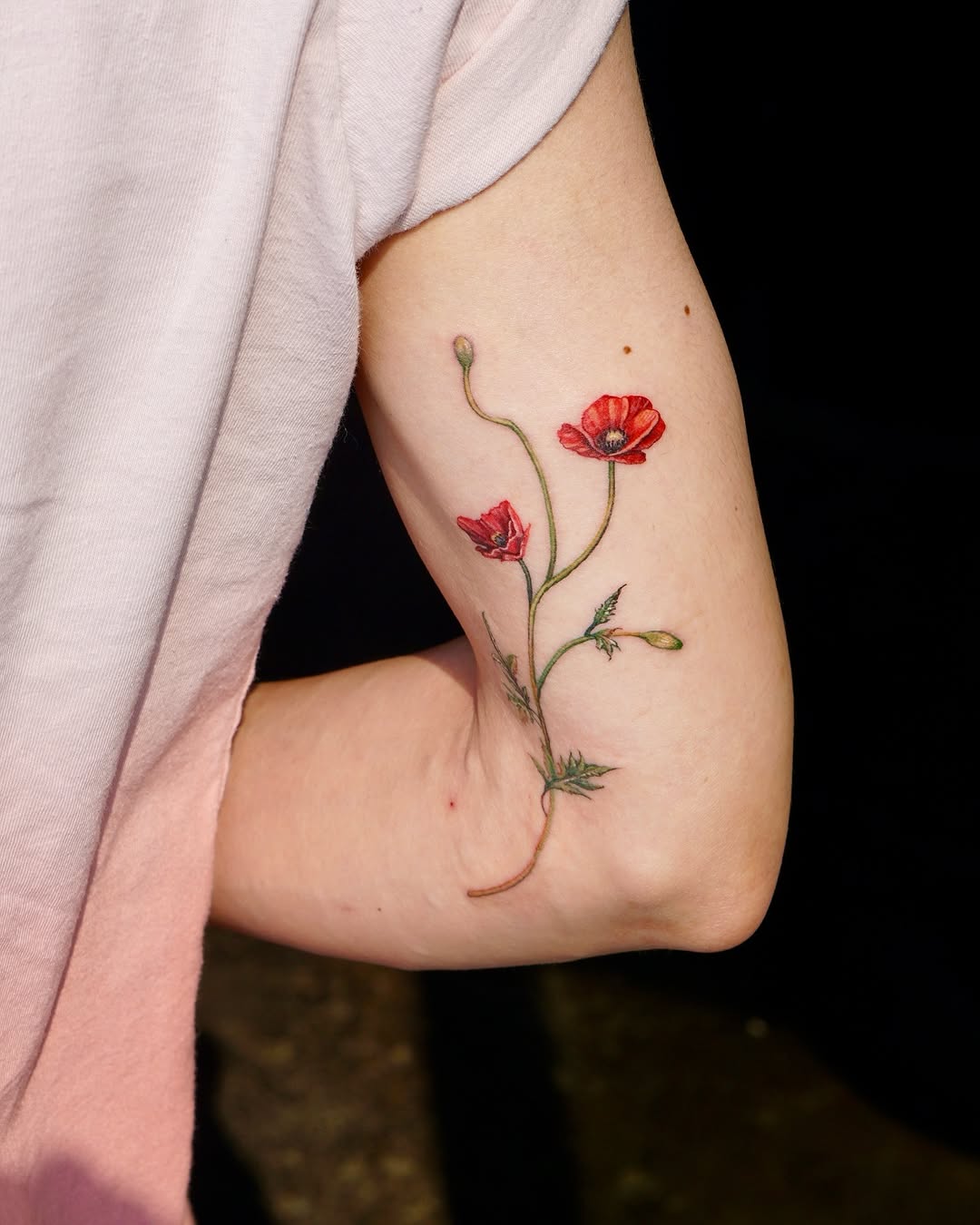 Flower, Rose, 양귀비
