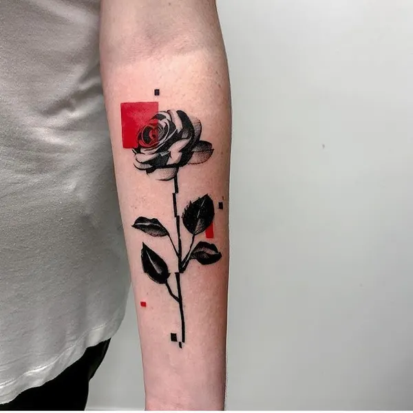 Flower, Rose