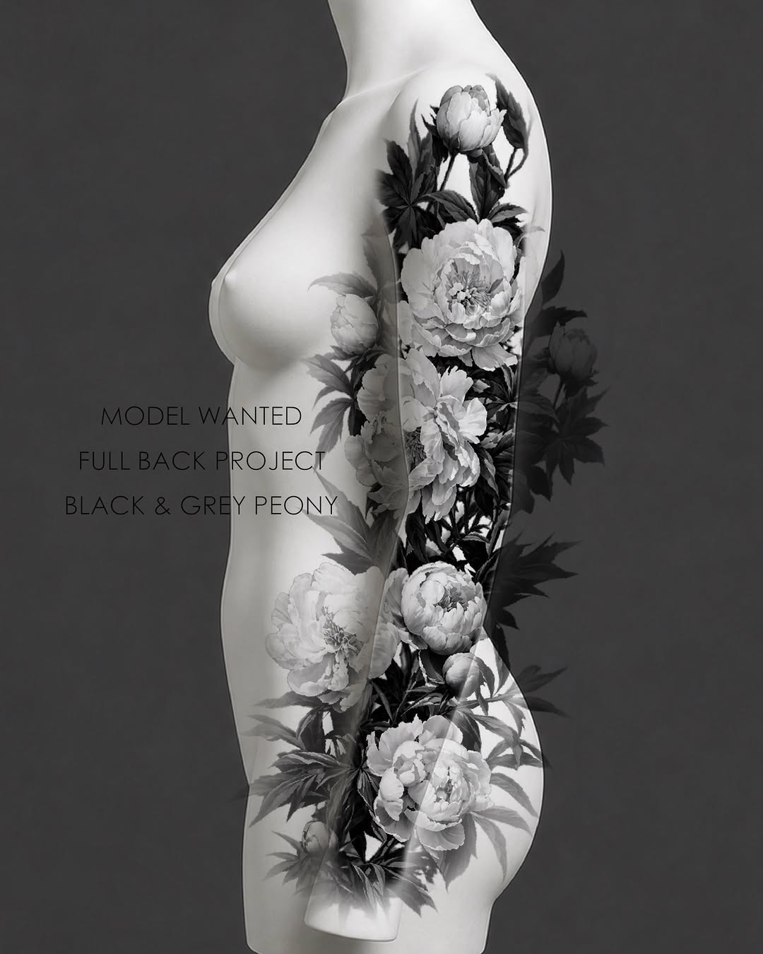 Flower, Nature, Rose