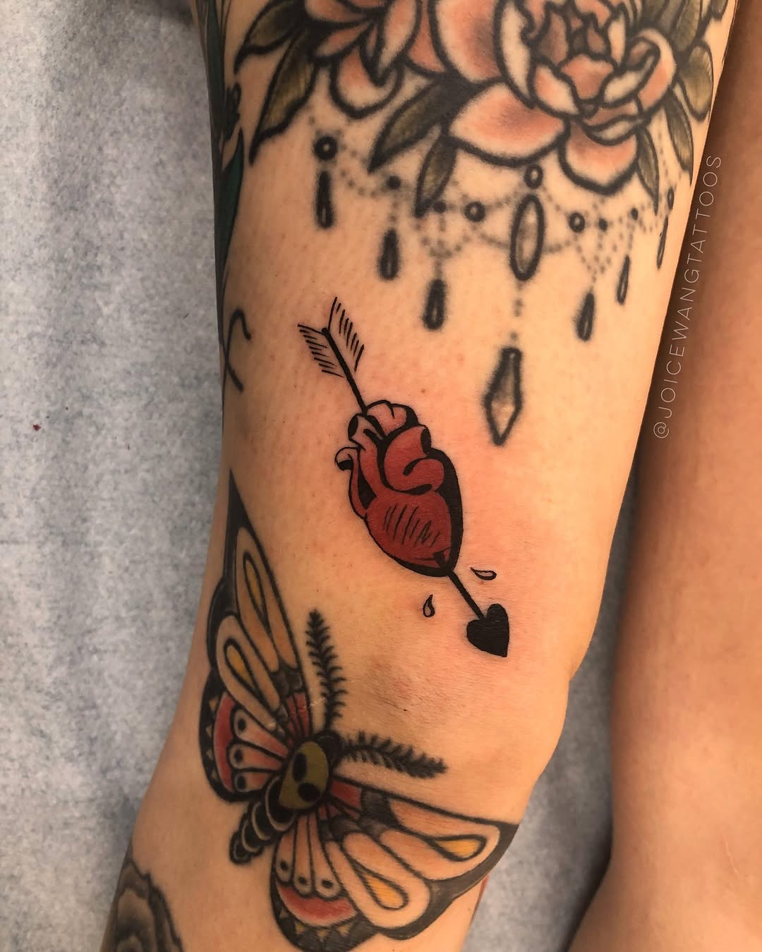 Flower, Animal, Rose