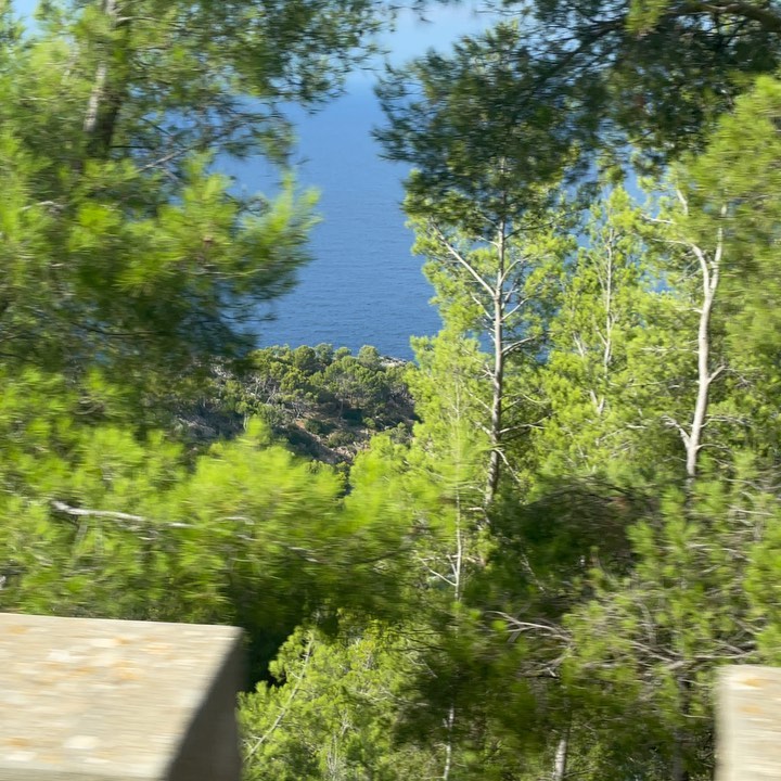 balazsbercsenyi