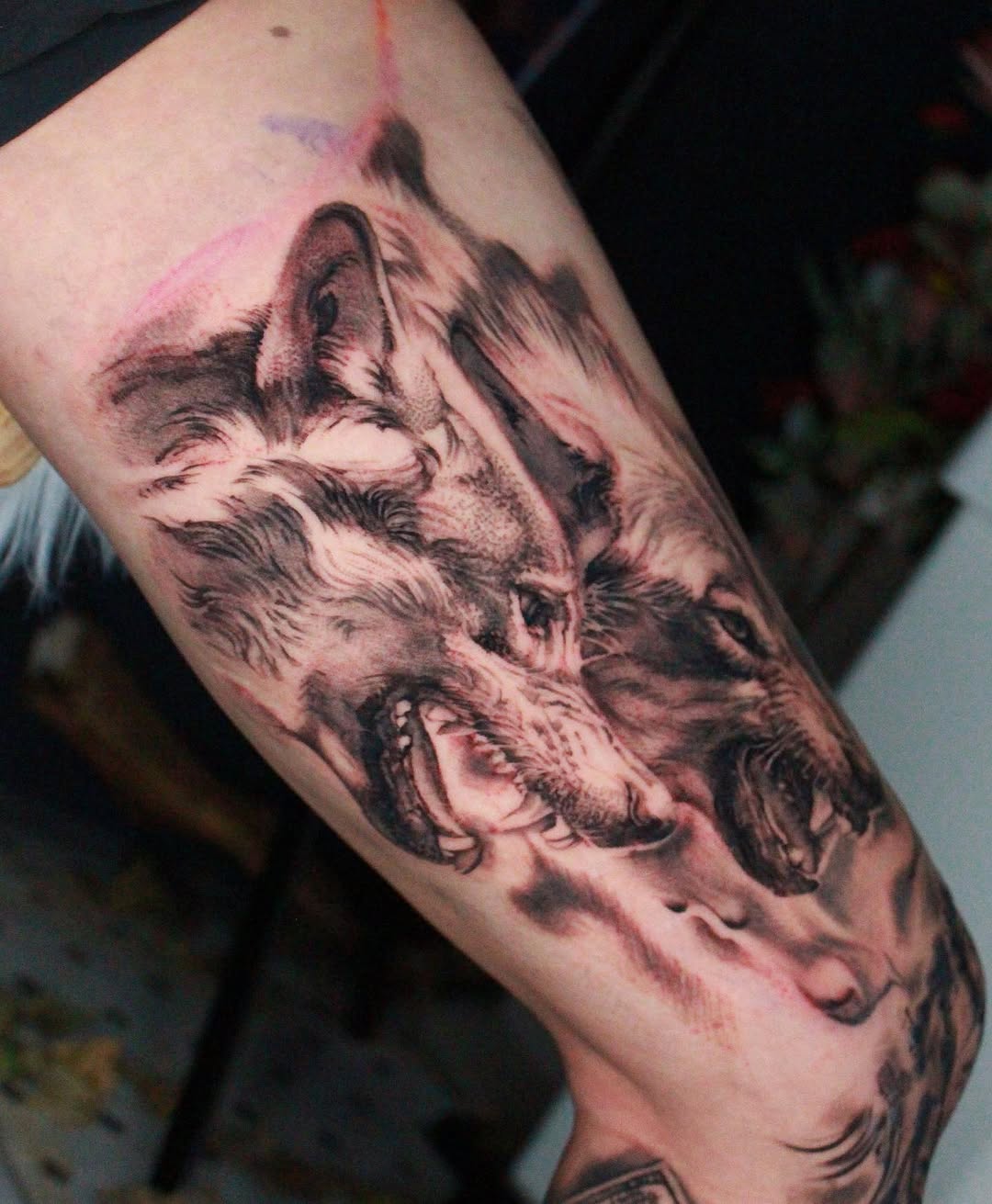 gkirin_tt