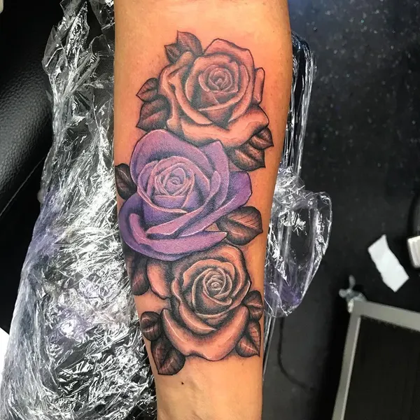 Flower, Rose
