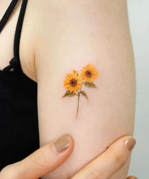 Flower, 해바라기