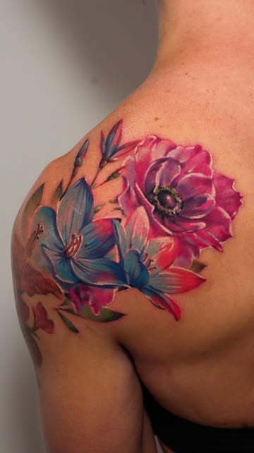 Flower, Rose, Nature