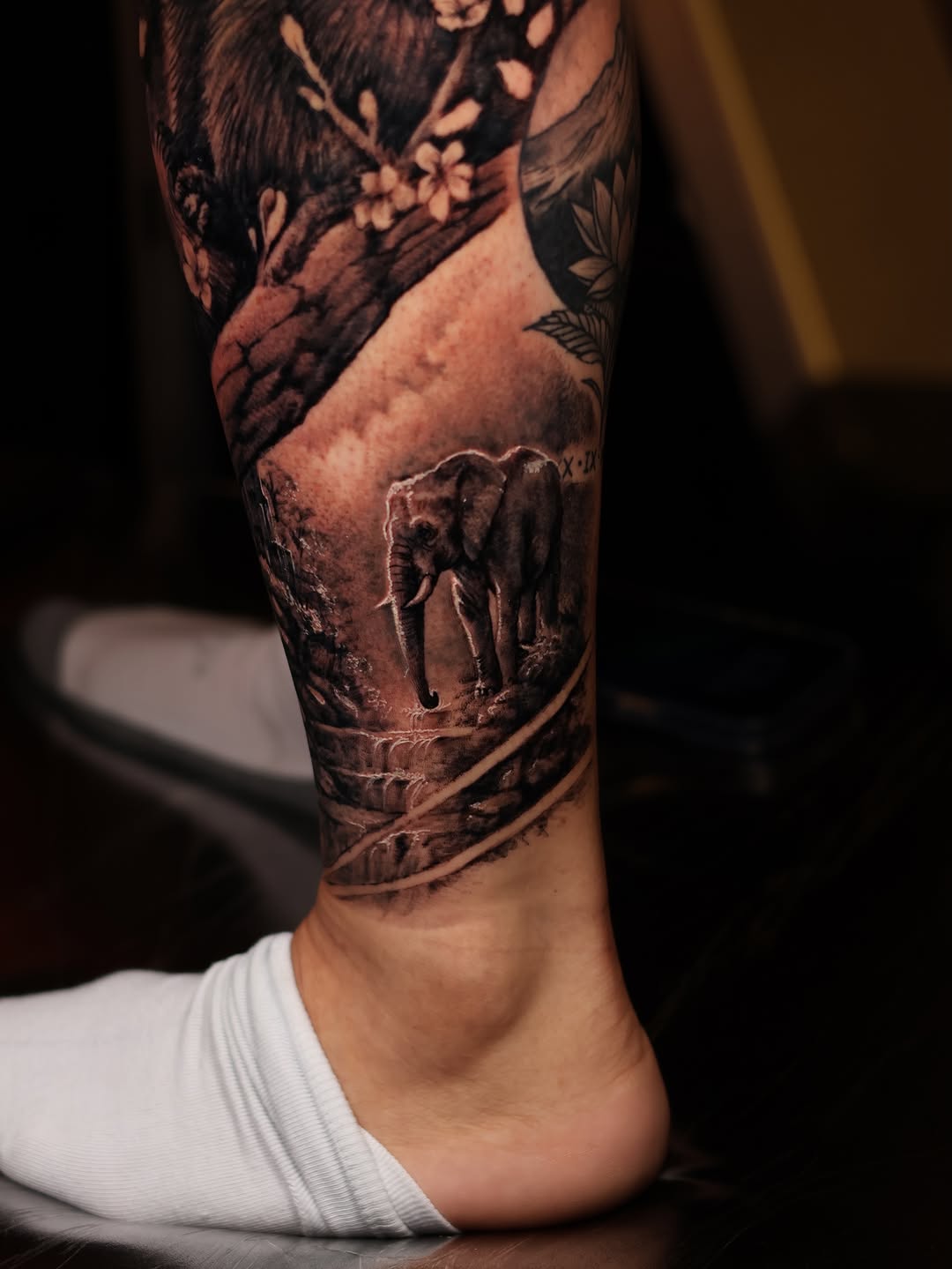 Tiger