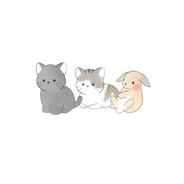 Animal