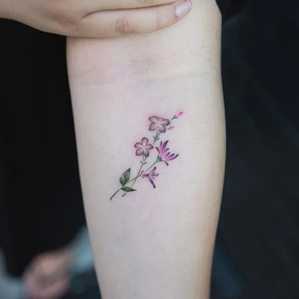 Flower
