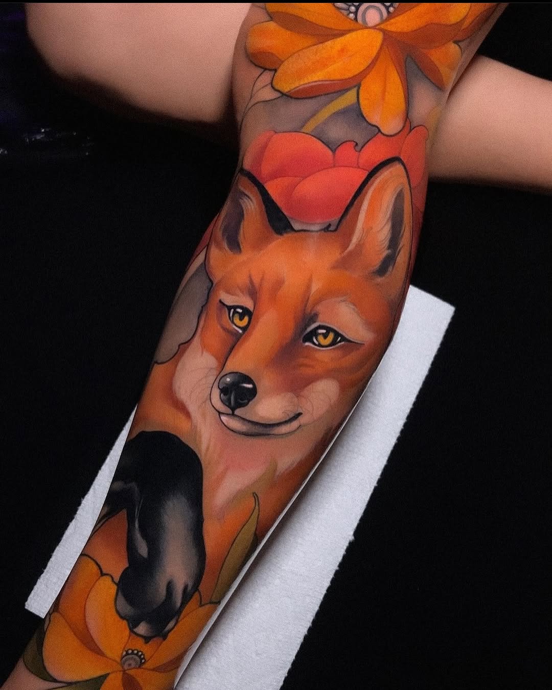 Animal, 여우