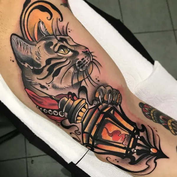 Tiger, Animal