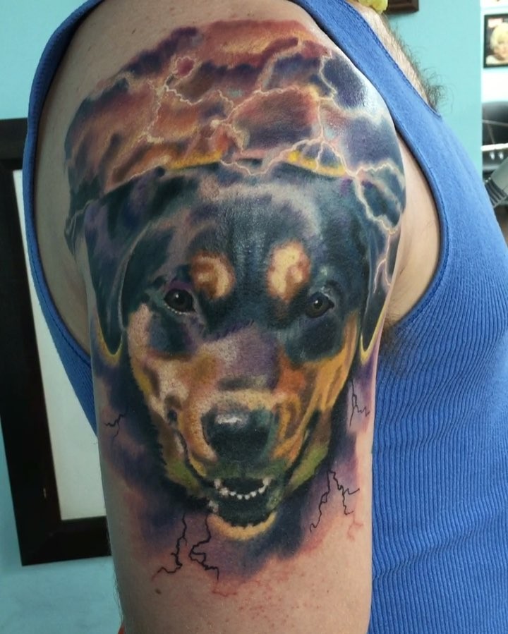 Animal