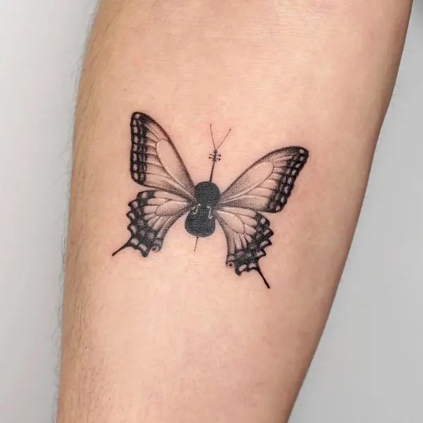 Animal, Nature, 개미, 벌, 매미, 잠자리, 무당벌레
