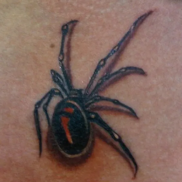 Animal