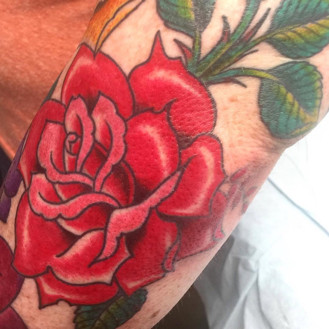 Flower, Rose