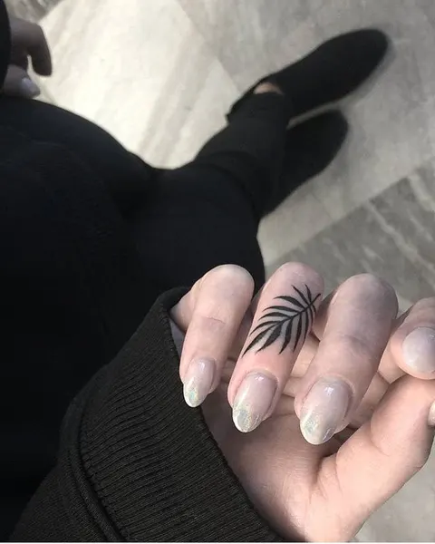 equilattera