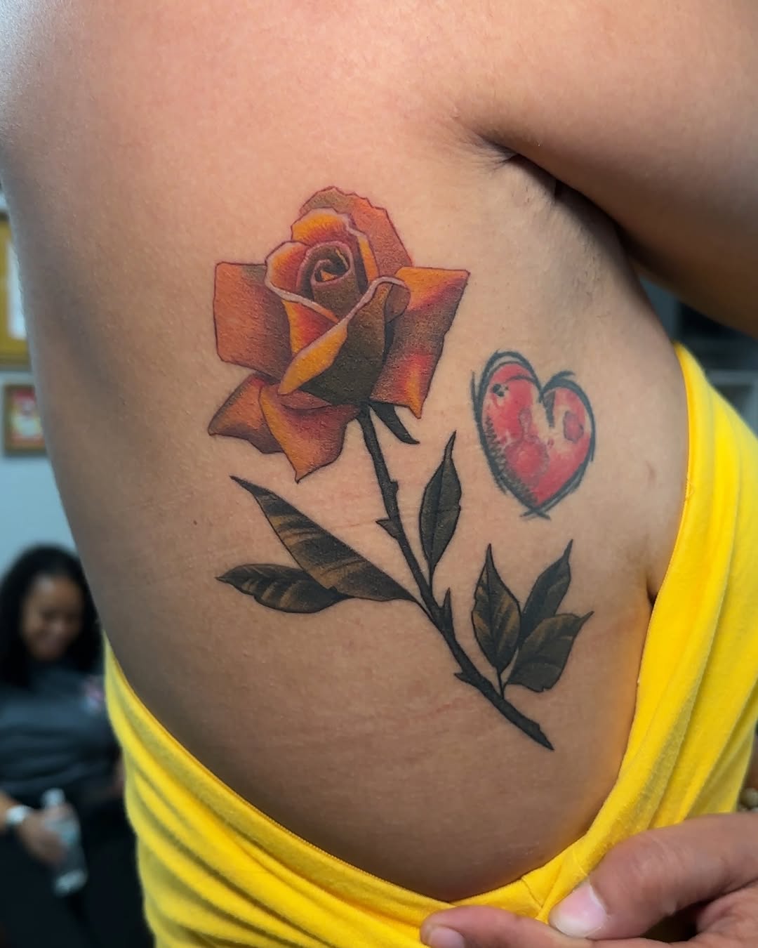 Flower, Rose, Nature
