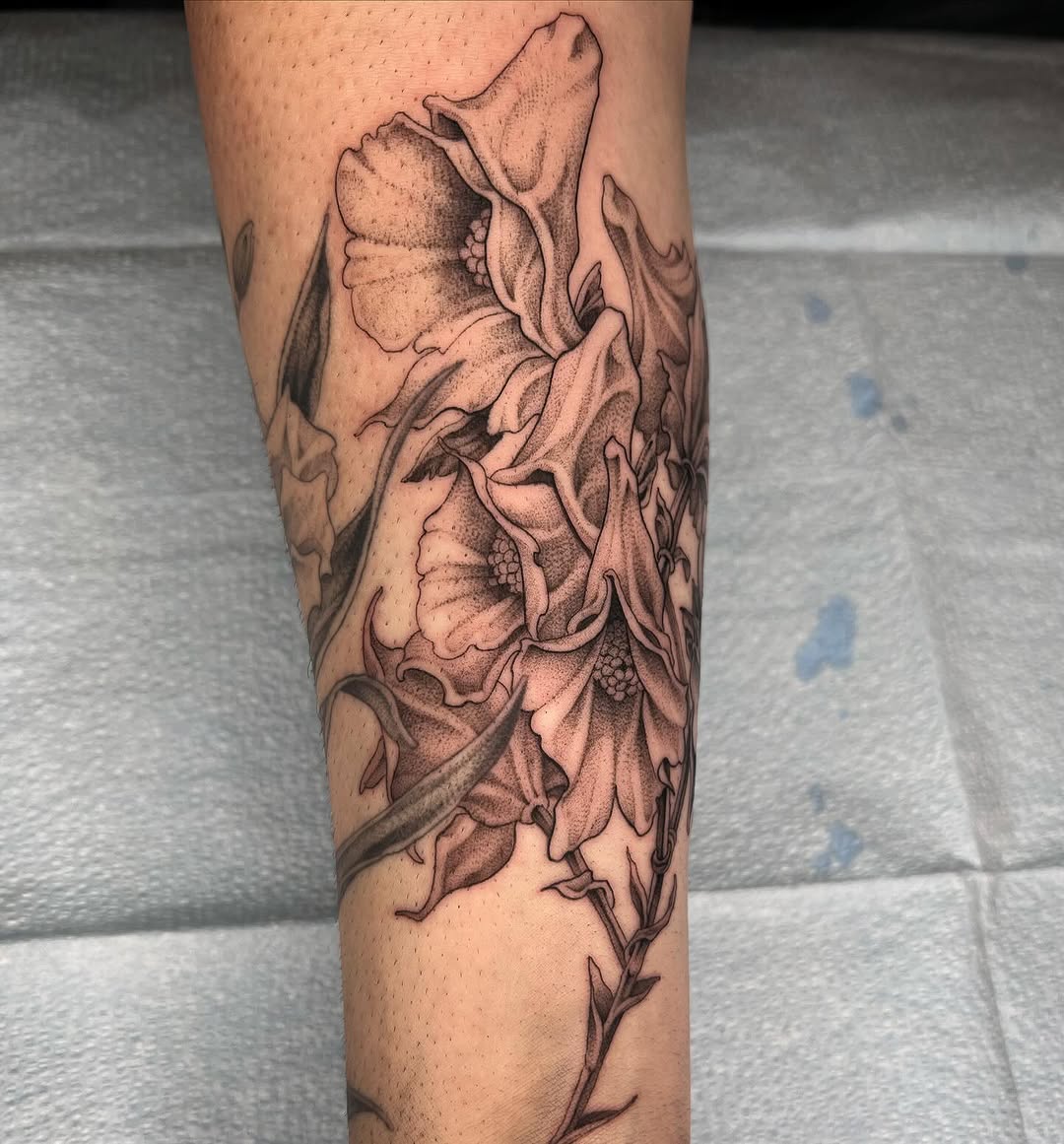 Flower, Rose
