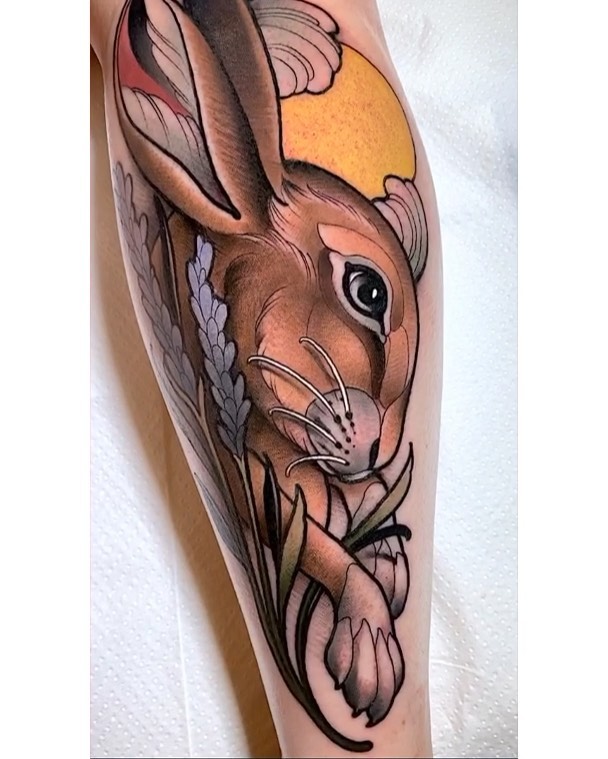 Animal, 토끼