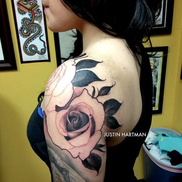 Flower, Rose, Nature
