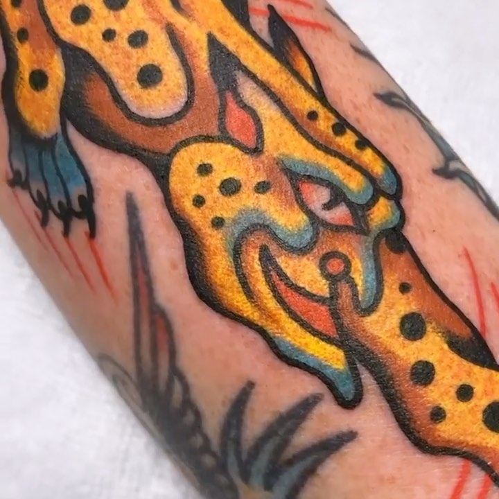 Dragon