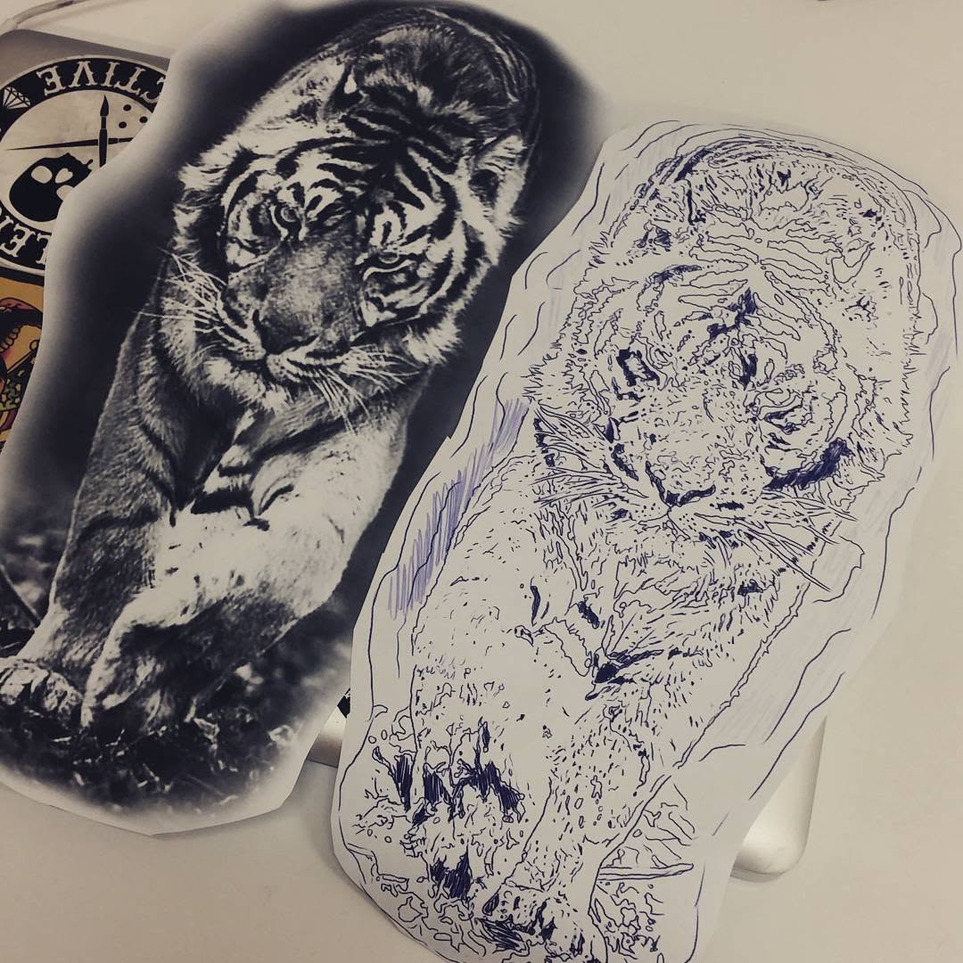 Tiger
