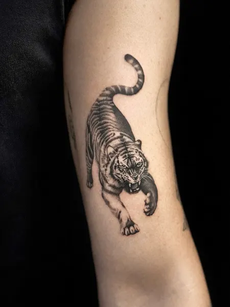 Tiger