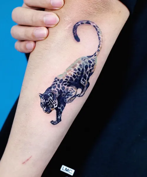 Tiger, 표범, 팬서, 치타, Animal