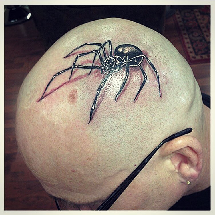 Animal