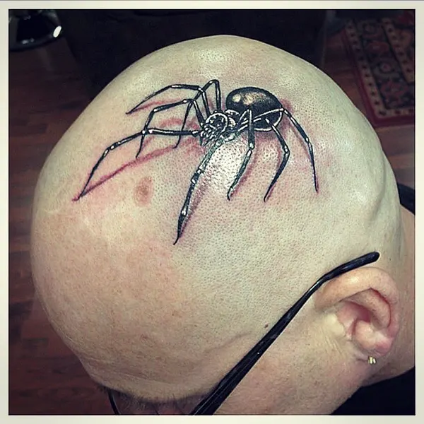 Animal