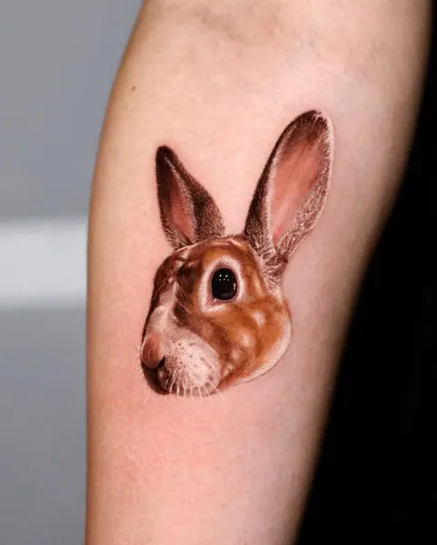 Animal, 토끼