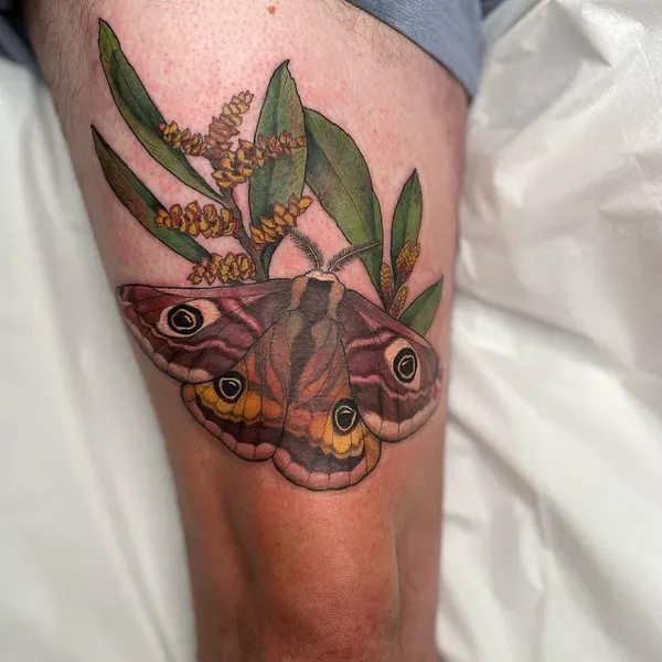 Animal, Nature