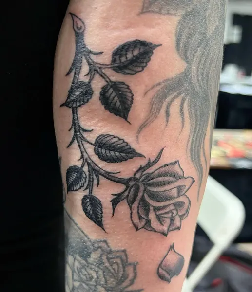 Flower, Rose
