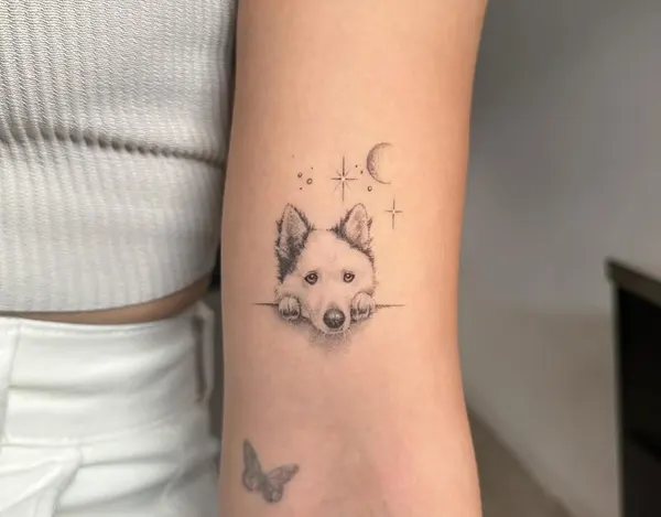 Animal