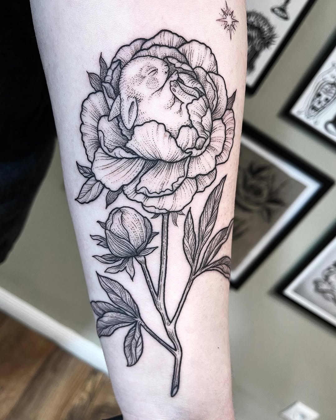 Flower, Rose