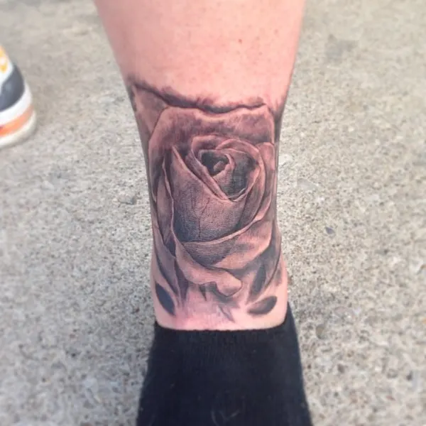 Flower, Rose