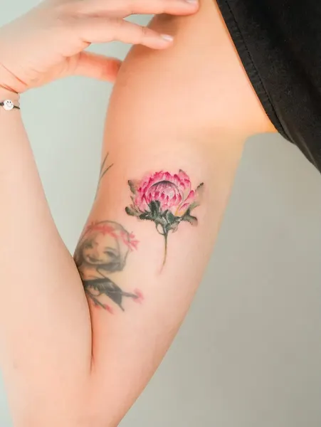 Flower, Rose