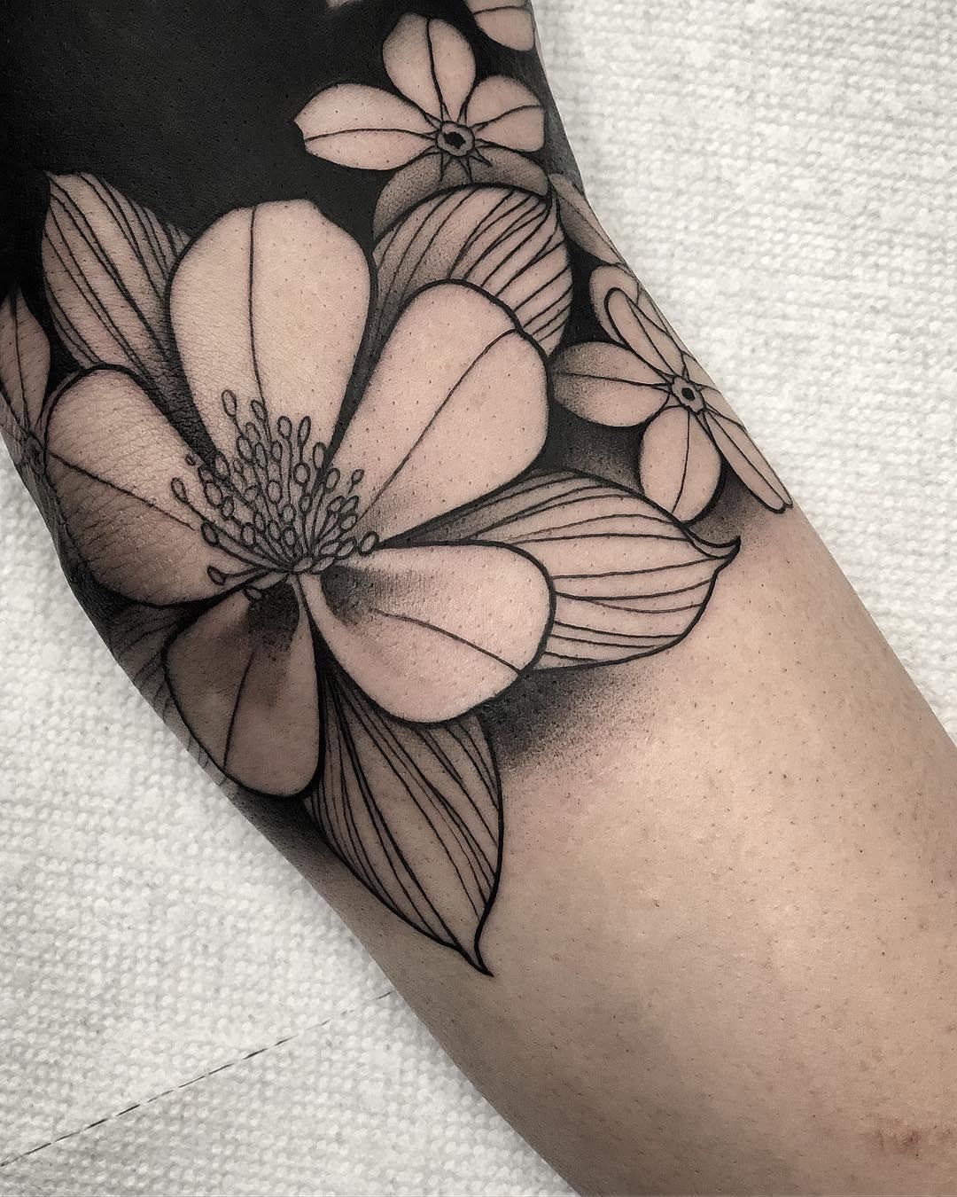 Flower, Rose