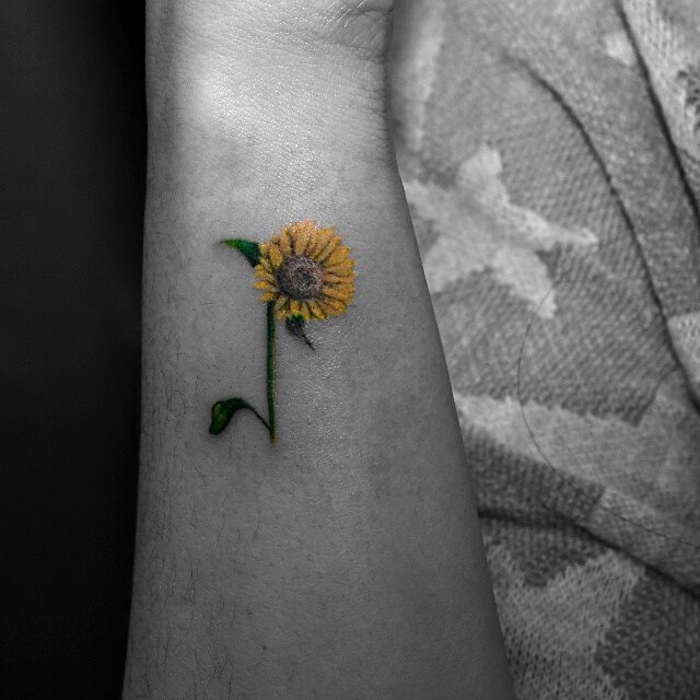 Flower, 해바라기, 민들레