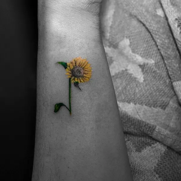 Flower, 해바라기, 민들레