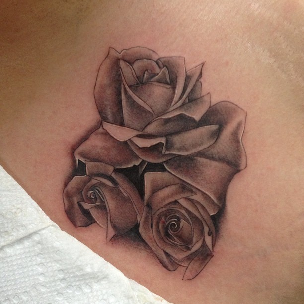 Flower, Rose, Nature
